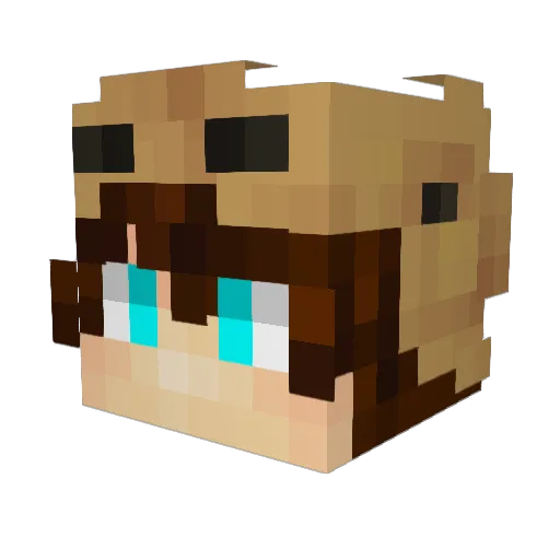 _UnLucK1_ Minecraft avatar head, 3D render
