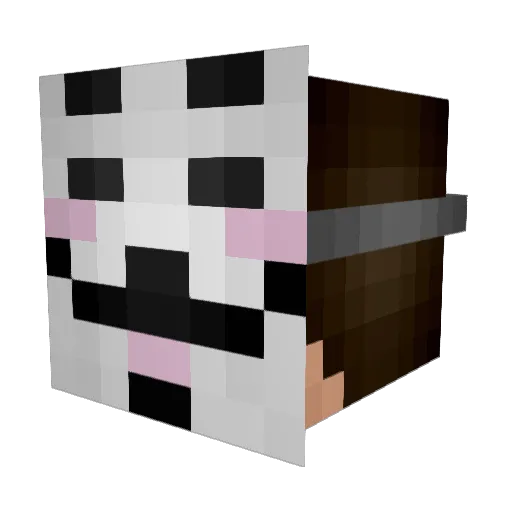 _UnNainPosteur_ Minecraft avatar head, 3D render