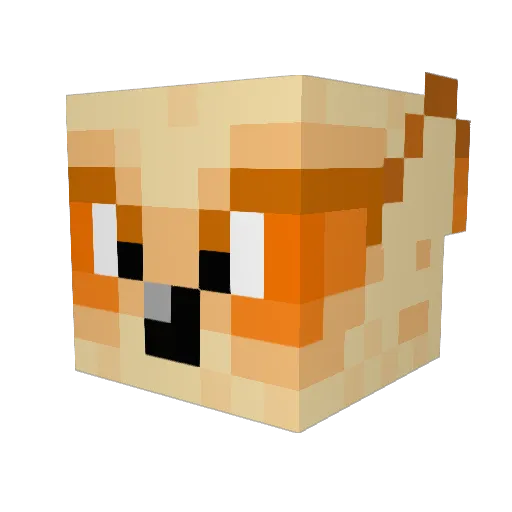 _Unicorn6_ Minecraft avatar head, 3D render