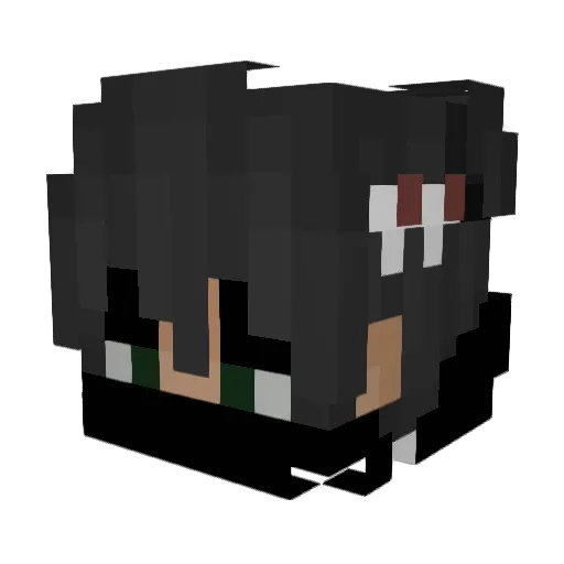 _Unitt Minecraft avatar head, 3D render