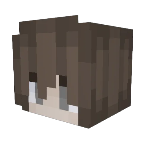 _Unknown_5 Minecraft avatar head, 3D render