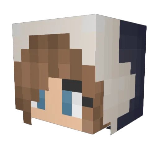 _V4nnY_ Minecraft avatar head, 3D render