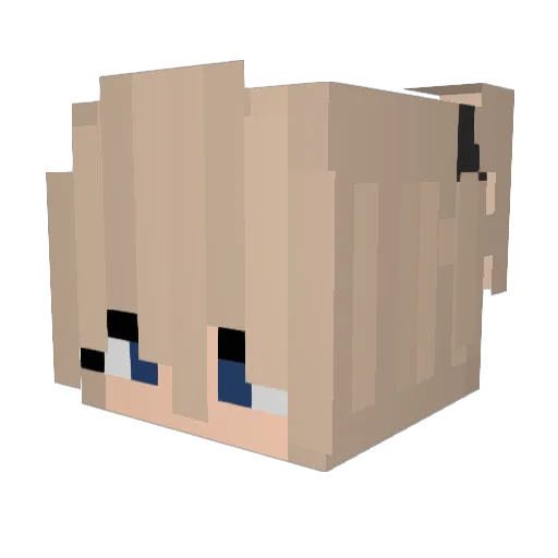 _VODka_ Minecraft avatar head, 3D render