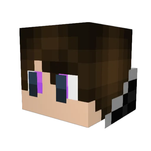 _V_o_x_ Minecraft avatar head, 3D render