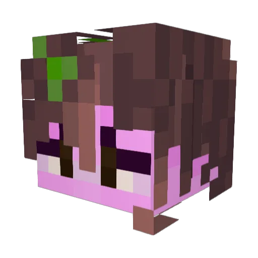_Vae Minecraft avatar head, 3D render