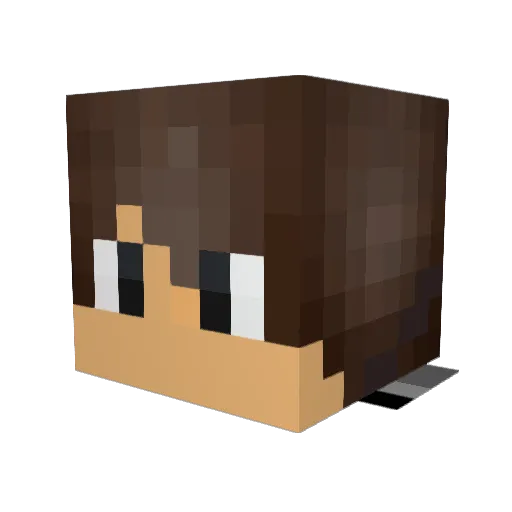 _Vagabond Minecraft avatar head, 3D render