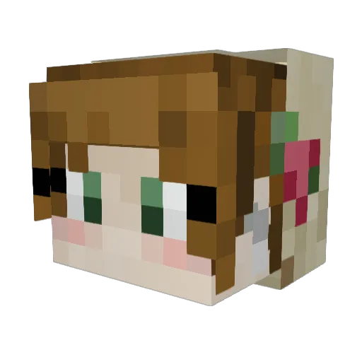 _Vale07 Minecraft avatar head, 3D render