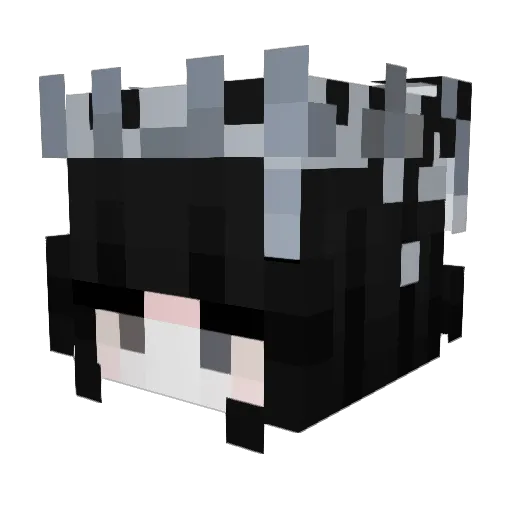 _Valexis Minecraft avatar head, 3D render