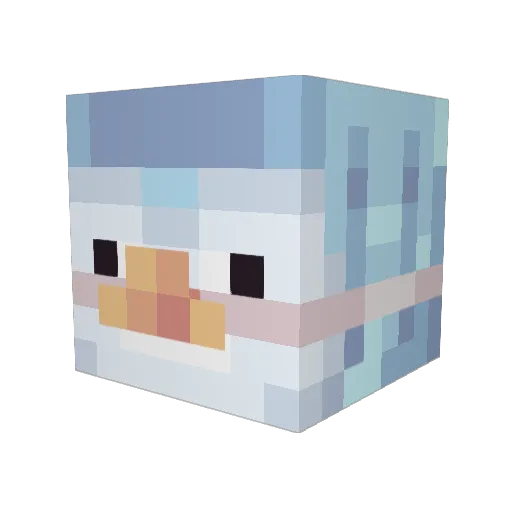 _ValkyrieExe Minecraft avatar head, 3D render