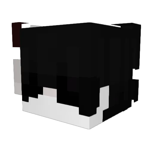 _Varex_ Minecraft avatar head, 3D render