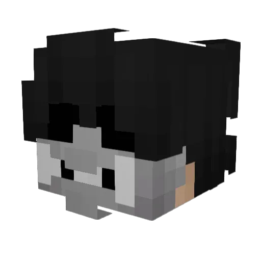 Minecraft-Avatar von _Vawn: Kopf als 3D-Render