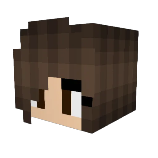_Veroo_ Minecraft avatar head, 3D render