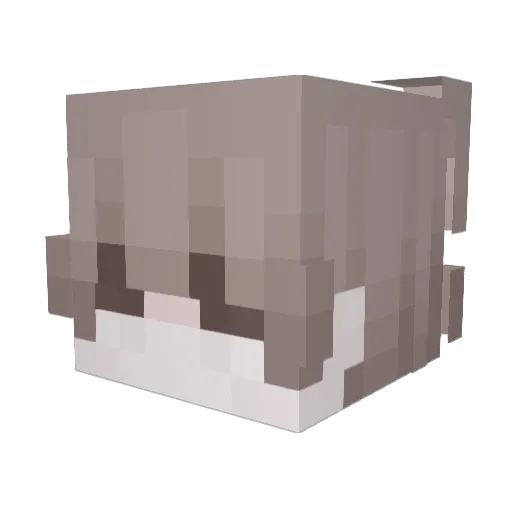 _Versprochener_ Minecraft avatar head, 3D render