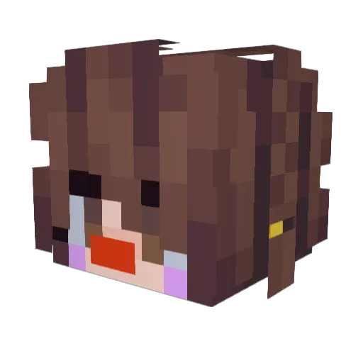 _Vexing_ Minecraft avatar head, 3D render