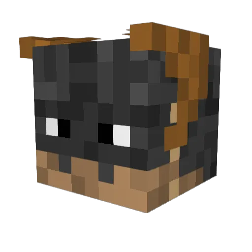 _Vichox_ Minecraft avatar head, 3D render