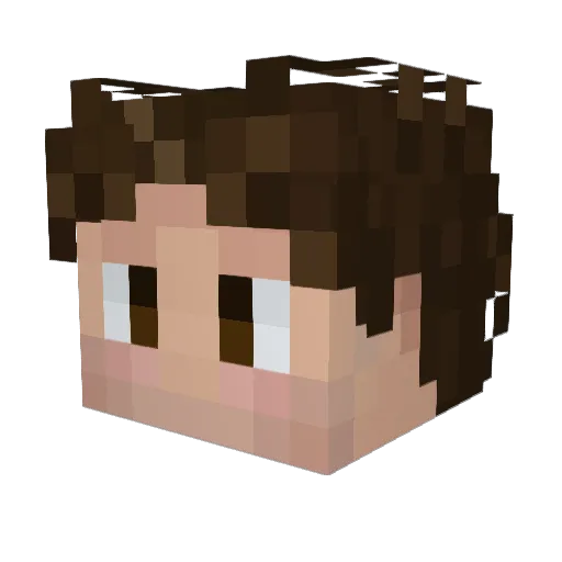 _Vignette Minecraft avatar head, 3D render
