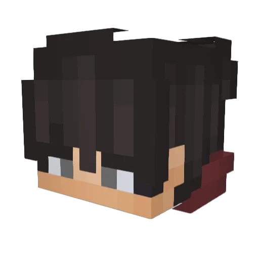 _Vipa Minecraft avatar head, 3D render