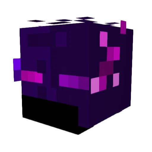 _Void80 Minecraft avatar head, 3D render