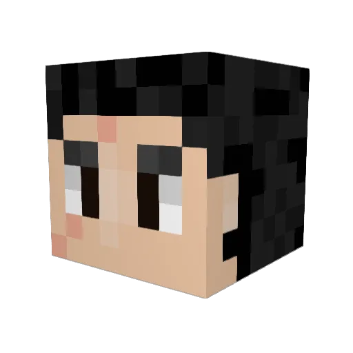 _VoidLess Minecraft avatar head, 3D render