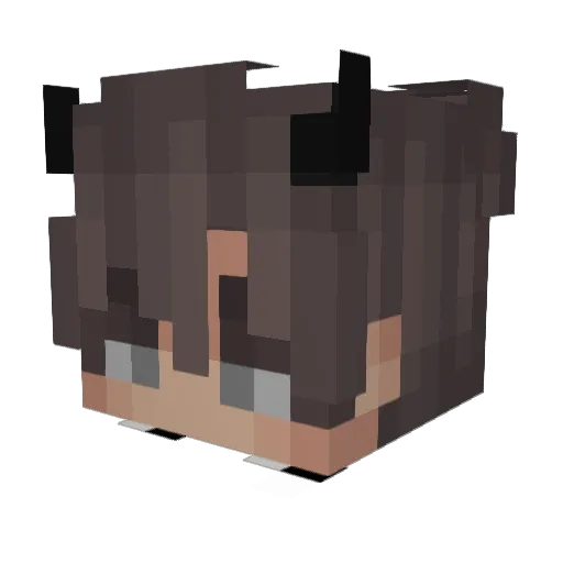 _VojtaVoid_ Minecraft avatar head, 3D render