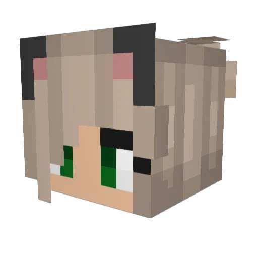 _VolchokTynYT_ Minecraft avatar head, 3D render