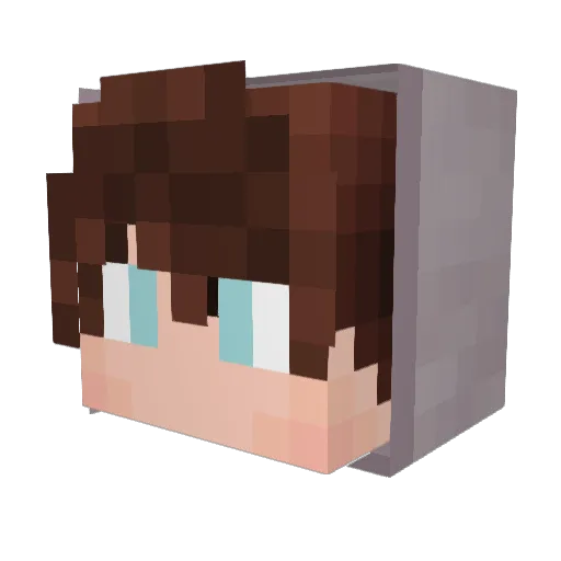 _W4leedG4mer_ Minecraft avatar head, 3D render