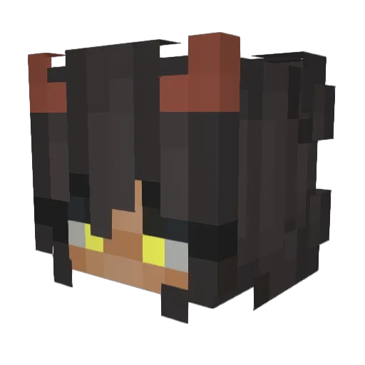 _WARK_ Minecraft avatar head, 3D render