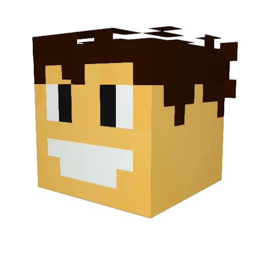 _WOKS_ Minecraft avatar head, 3D render