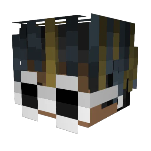 _WRD Minecraft avatar head, 3D render