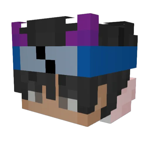 _WVG_Jay_ Minecraft avatar head, 3D render