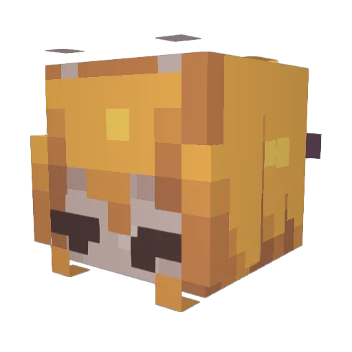 _Wait_What_ Minecraft avatar head, 3D render