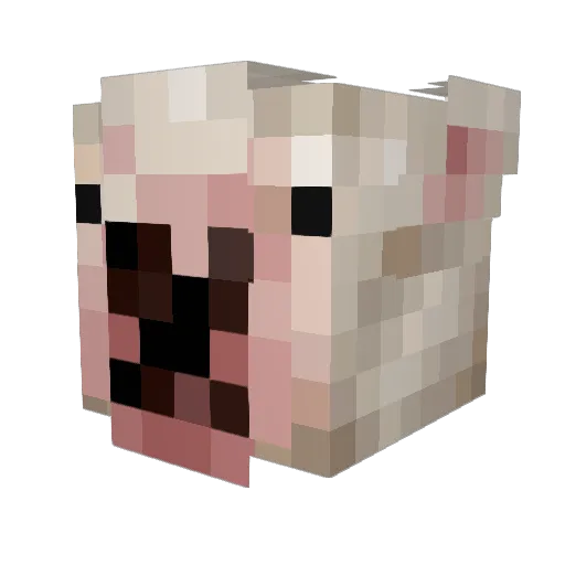 _Walterstanky_ Minecraft avatar head, 3D render