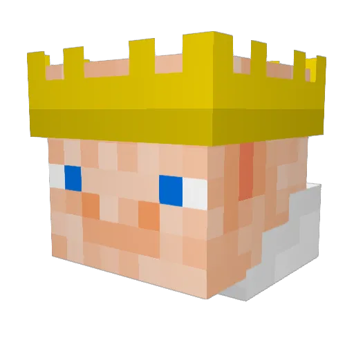 _WangChong_ Minecraft avatar head, 3D render