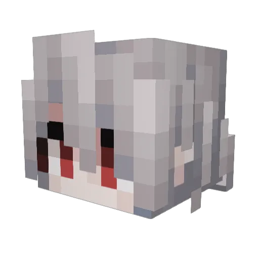 _Wangchuan_ Minecraft avatar head, 3D render