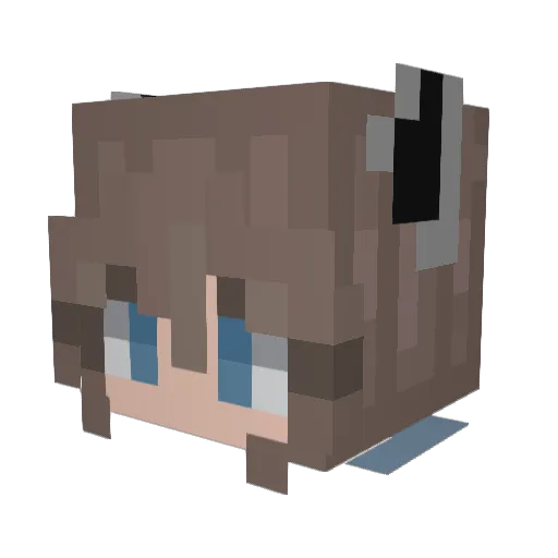 _Wasbeer Minecraft avatar head, 3D render