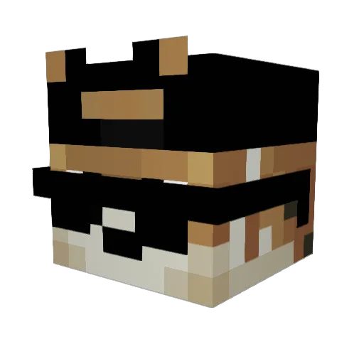 _Watch2Gether Minecraft avatar head, 3D render