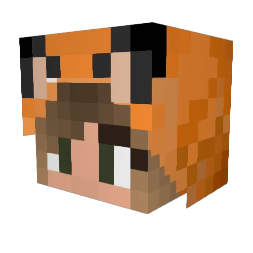 _Wave_ Minecraft avatar head, 3D render