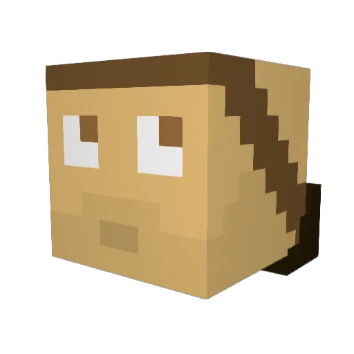 _WazzDee_ Minecraft avatar head, 3D render