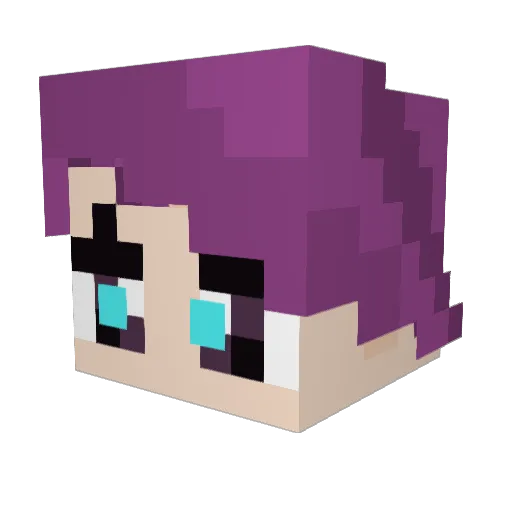 _WeHaveFun_ Minecraft avatar head, 3D render