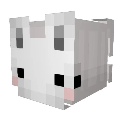 _WeeWoo Minecraft avatar head, 3D render
