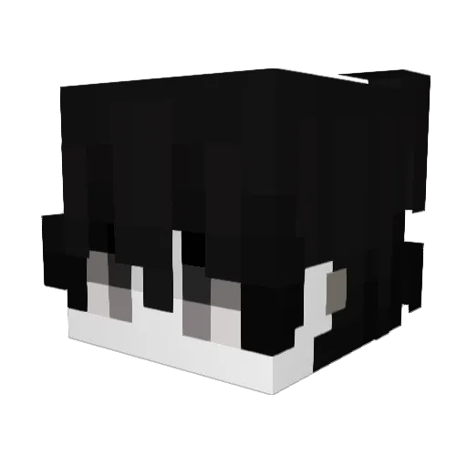 _Wenjer_ Minecraft avatar head, 3D render