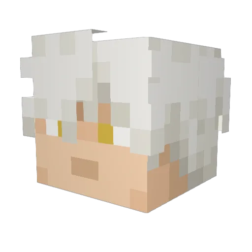 _Werynt_ Minecraft avatar head, 3D render
