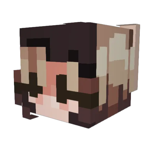 _What_The_Honk Minecraft avatar head, 3D render