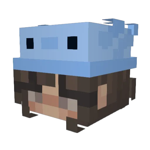 _Whitt_ Minecraft avatar head, 3D render
