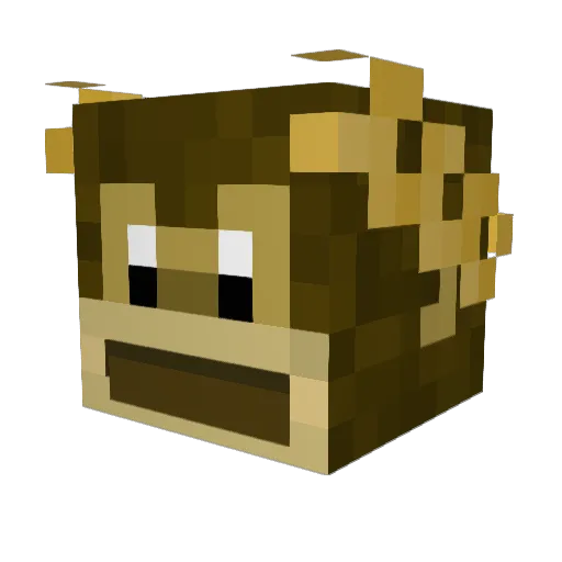 _WiSZ_ Minecraft avatar head, 3D render
