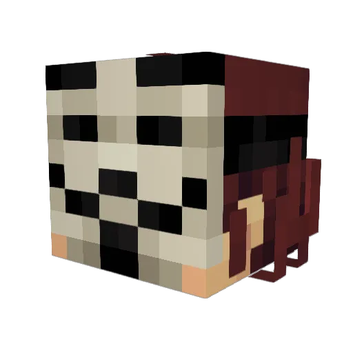 _Wifiskeleton Minecraft avatar head, 3D render