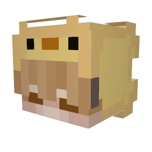 _Wild_Child_ Minecraft avatar head, 3D render