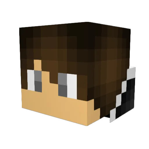 _Will_06 Minecraft avatar head, 3D render