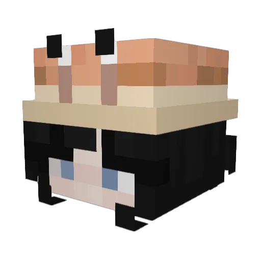 _Willow22_ Minecraft avatar head, 3D render