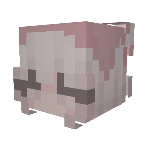 _Willow_Rose_ Minecraft avatar head, 3D render